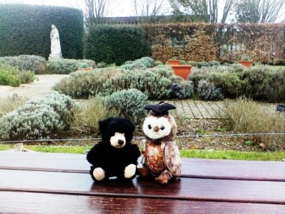 wol and tedz in heather garden at buckfast