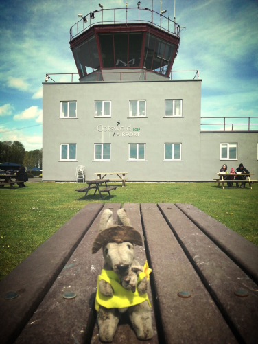 Kanga on a picnic table with control tower in background