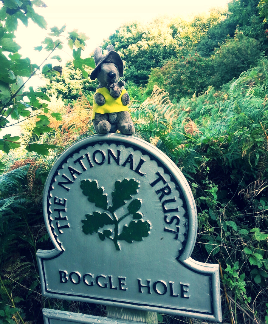 Kanga sitting on sign for Boggle Hole